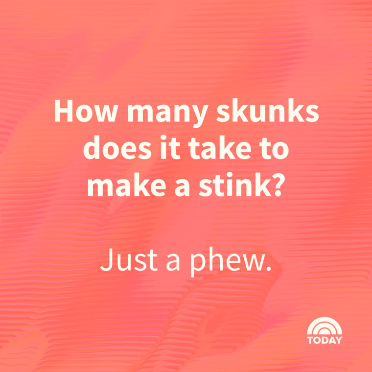 155 Funny Jokes For Kids And Adults