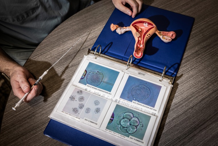 A model of the female reproductive system and an embryo transfer catheter in a doctor office