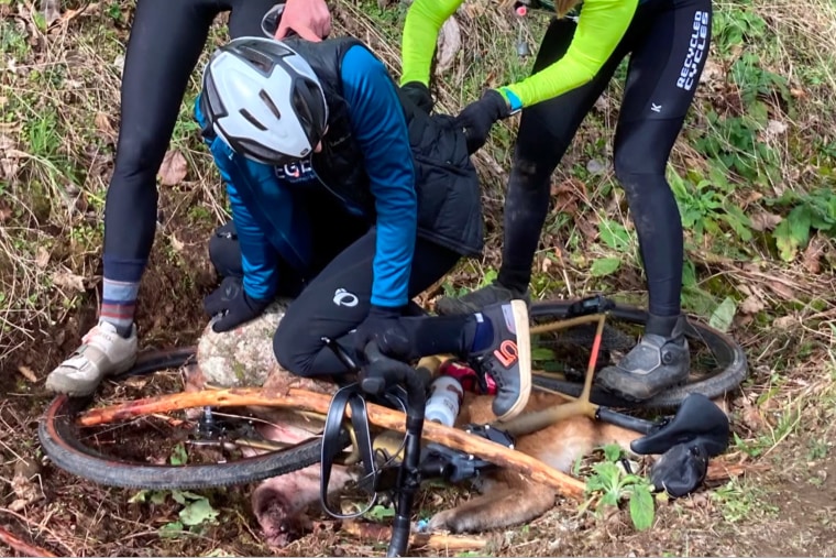 A group of women cyclists use a bike to pin down a mountain lion that attacked one of them in Washington state.