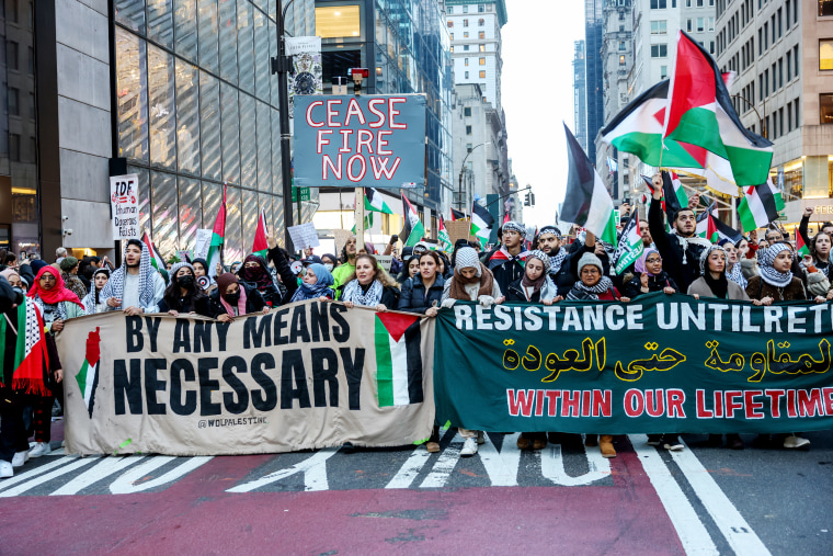 New York Police arrest several people during Pro-Palestinian demonstration