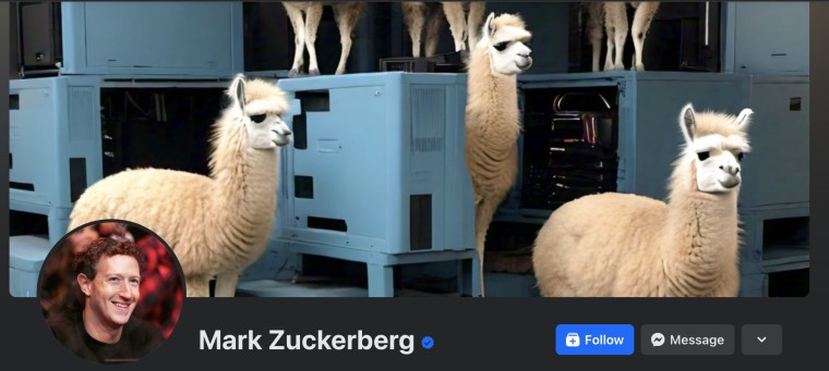 Image of Mark Zuckerberg llama header 