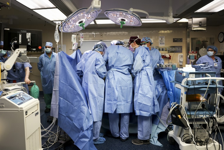 The transplant surgery took four hours to complete. The operating room erupted in applause when they realized the operation had been a success.