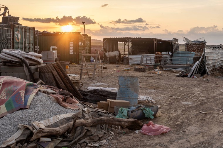 Horses in az-Zarnūg village near where Muhammad Abu Qwaider said the Israeli government destroyed two of his brothers' houses. 