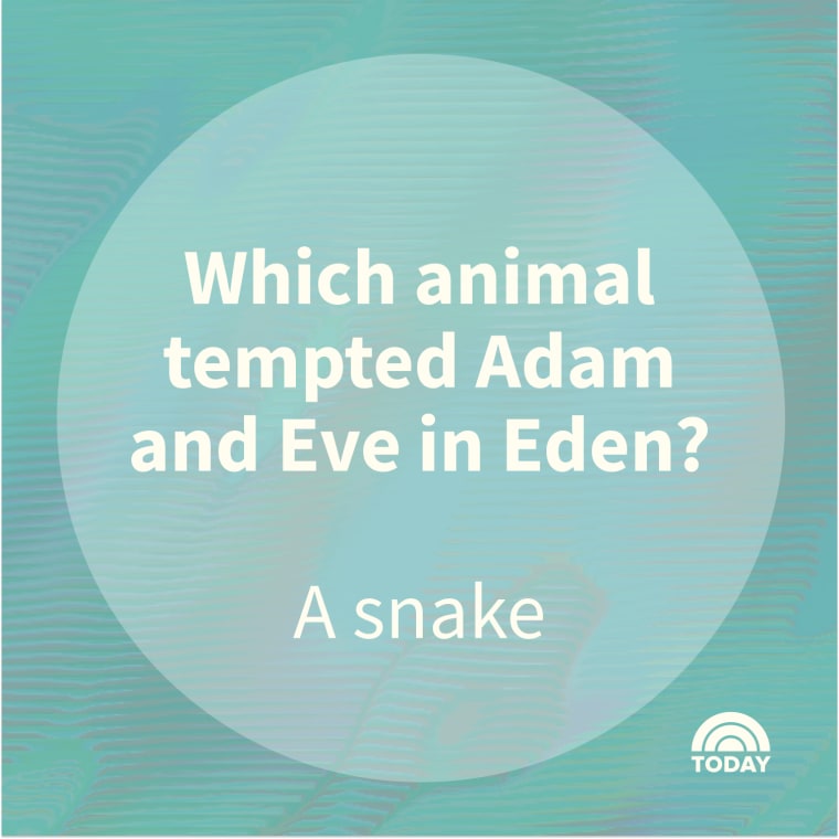 100 Bible Trivia Questions with Answers to Test Your Knowledge