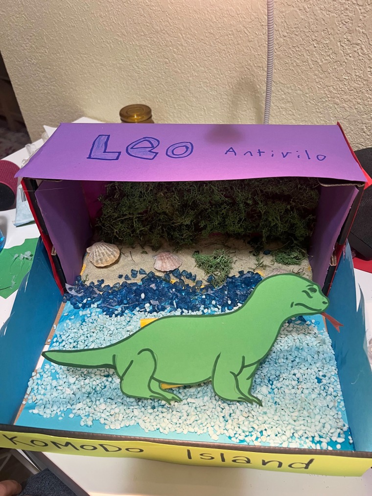 Leo's finished diorama made the teacher's deadline.