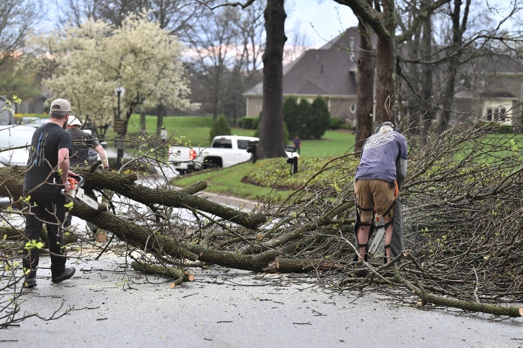 Workers cut up downed trees lying across the road in Prospect, Ky., Tuesday, April 2, 2024.