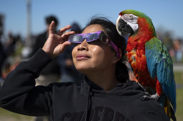 Una mujer observa el eclipse parcial desde el Observatorio de Griffith en Los Ángeles, California.