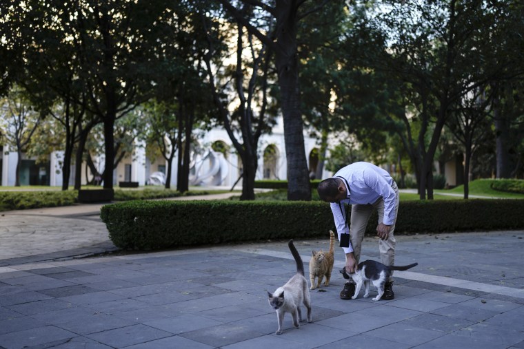 Veterinarian Jesus Arias greets Ollin at the National Palace courtyard, in Mexico City