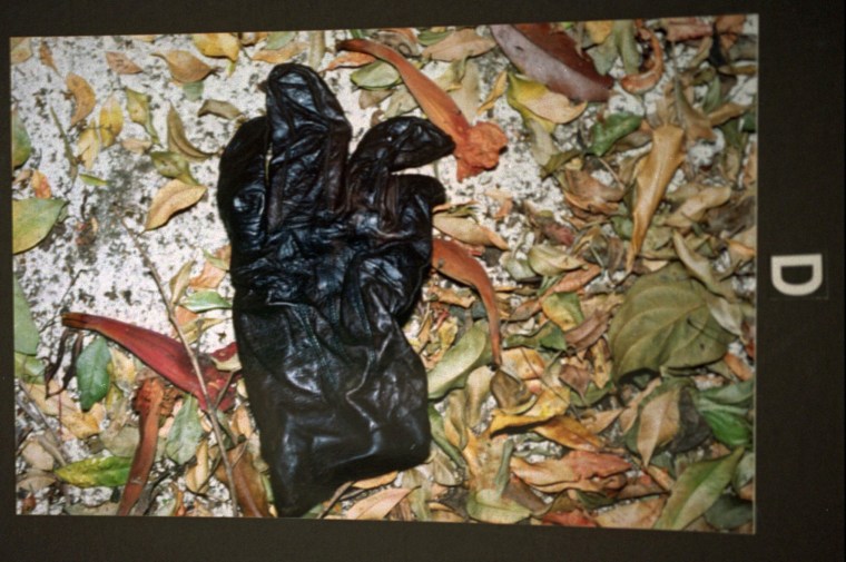 Photo evidence presented on July 5, 1994, at O.J. Simpson's preliminary hearing, shows a glove described to have been found by Los Angeles police Det. Mark Fuhrman at the Simpson home in Los Angeles. 
