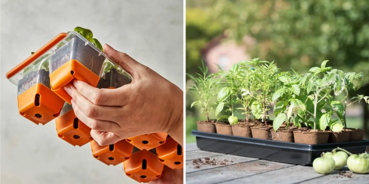 We consulted gardening experts for the best seed starting tray recommendations and advice to keep in mind while shopping for them.