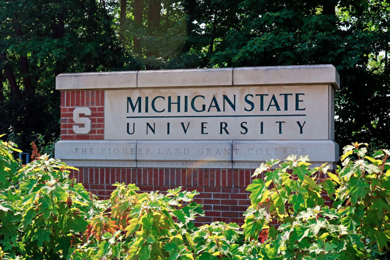 Michigan State University entrance sign