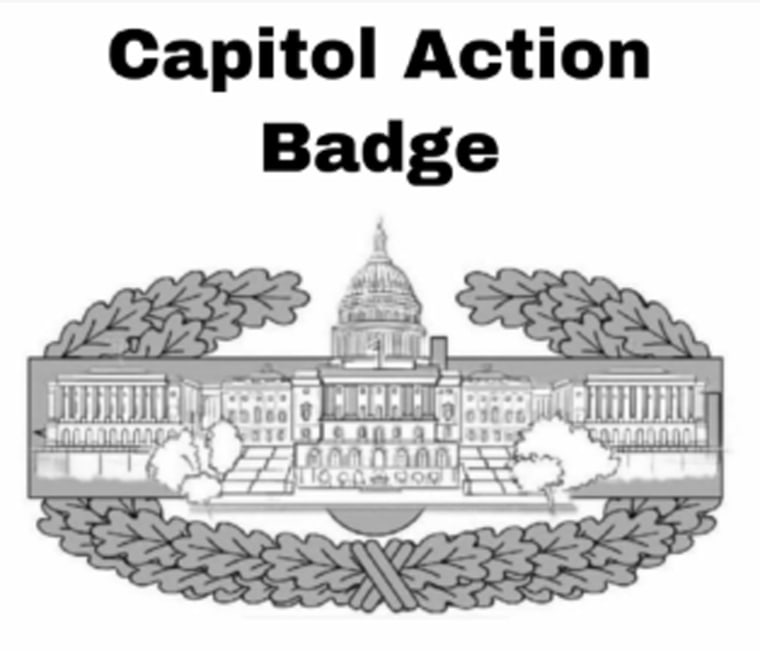 Capitol Action Badge.