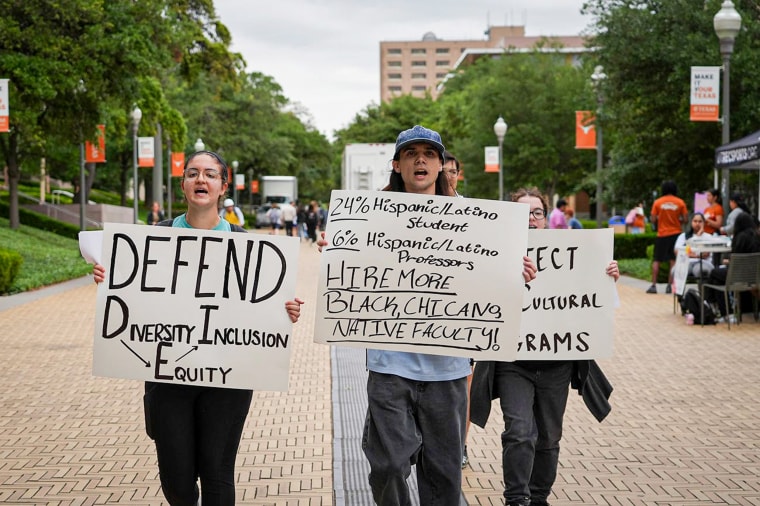 A protest to defend diversity, equity and inclusion at the University of Texas 