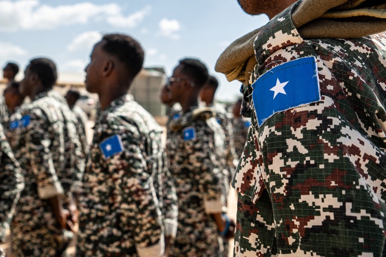Somalia’s government said it had suspended and detained several members of an elite, U.S.-trained commando unit for stealing rations donated by the United States, adding that it was taking over responsibility for provisioning the force.