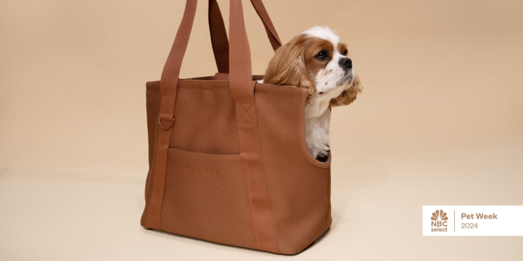 The size, material and safety certifications can all determine which travel carrier is right for your dog.