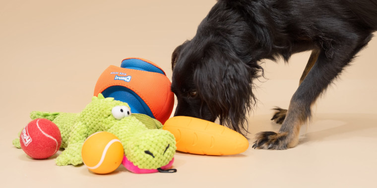 Experts say to always supervise your dog when playing with a toy and immediately remove and replace it if damaged.