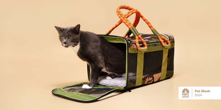 How you’re traveling with your cat largely impacts what type of carrier you should purchase, experts say.