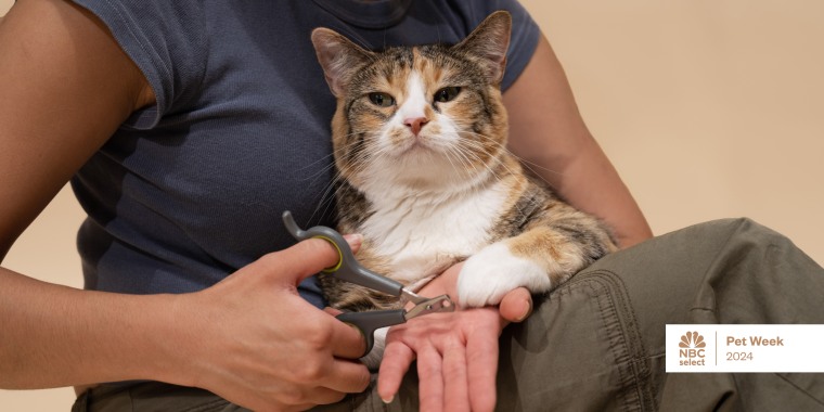 The best nail trimmers will be the right size for both your hands and your cat’s claws.