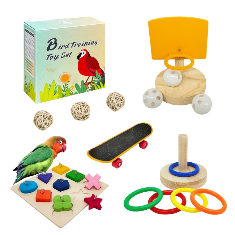 Bird Training Toy Set