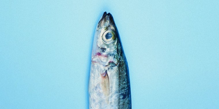 What is the Healthiest Fish? The 14 Best Fish to Eat