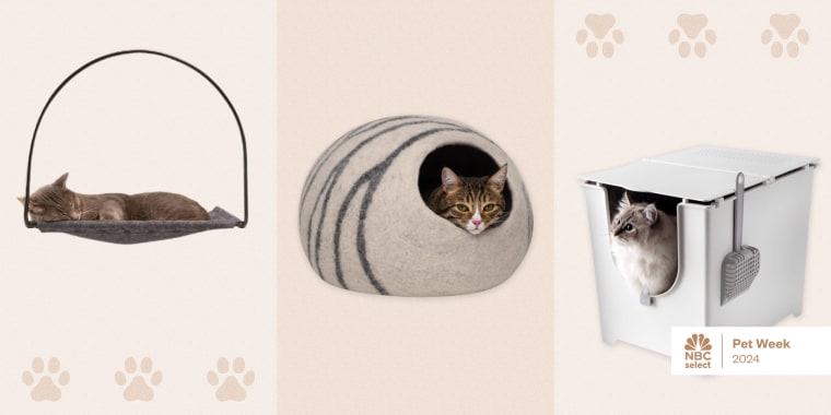 The essential products for a new kitten include litter, a litter box, scratching posts, treats and a cat carrier.