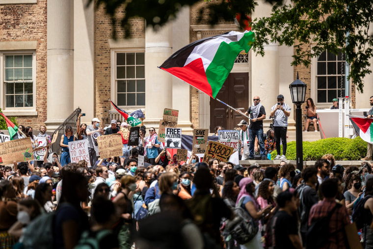 Hundreds of demonstrators hold Palestinian flags and anti-war signs on a college campus