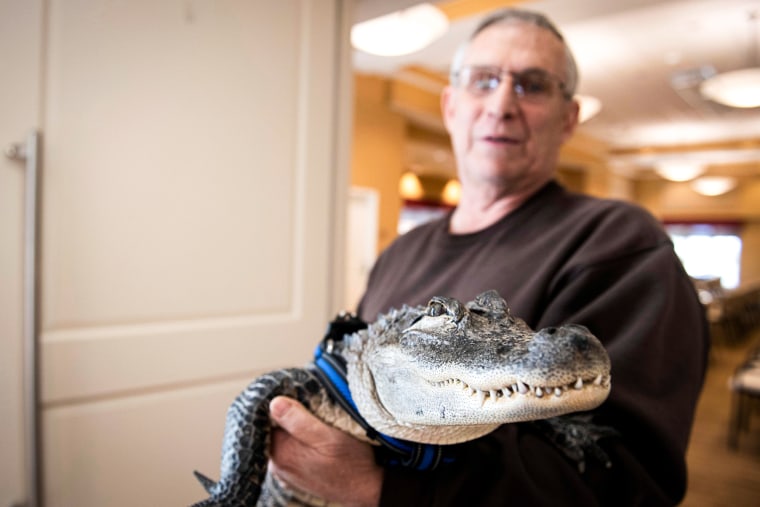 Joie Henney holds up his emotional support alligator.
