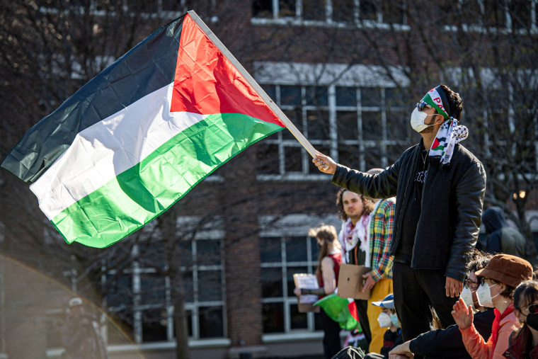 A person waves a Palestinian flag.