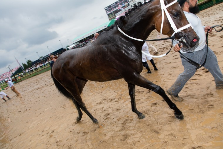 A wet horse is led through the mud on the track.