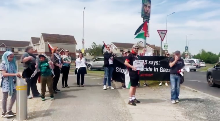 A small group of pro-Palestinian protesters in Fingal County, Ireland