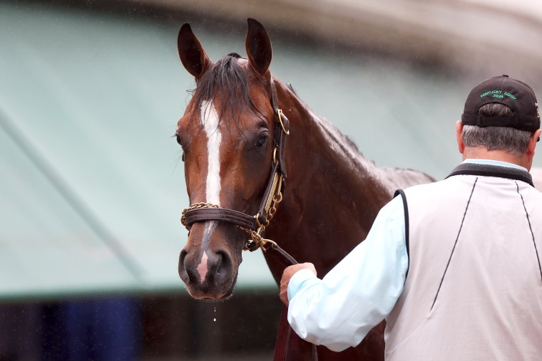 Image: Preakness Previews bath bathing horse training