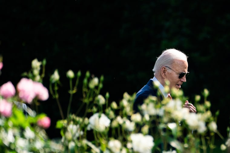 Joe Biden walking in the garden