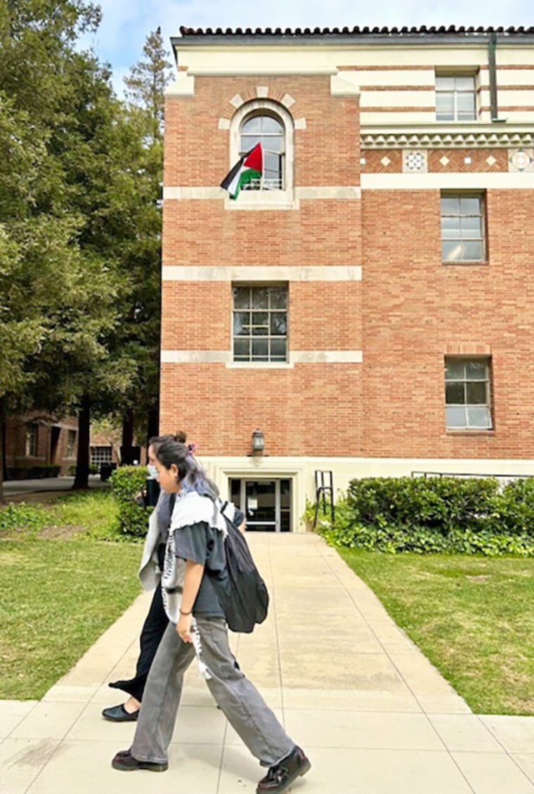 palestine flag usa ucla campus