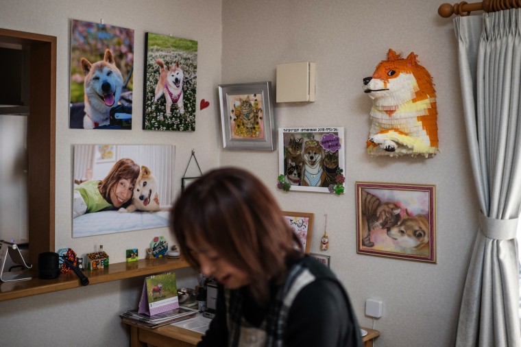 She's best known as the logo of Dogecoin, but to Atsuko Sato, Kabosu is the elderly former rescue puppy who accompanies her every day to work at a kindergarten.