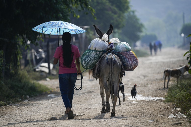A woman leads her donkey loaded with goods