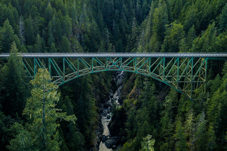 Washington state's High Steel Bridge surrounded by trees.