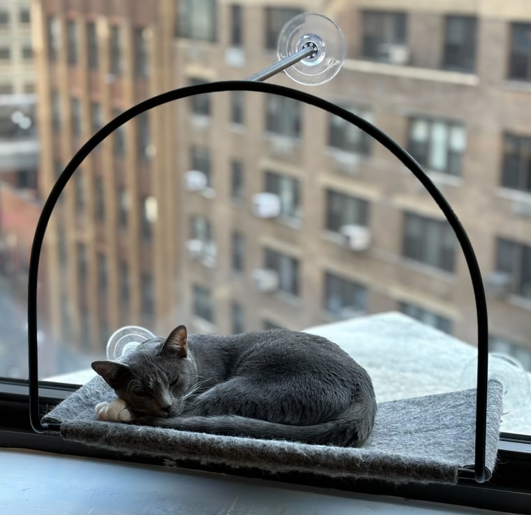 Cat sleeping on the Tuft+Paw Cloud Nine Window Hammock