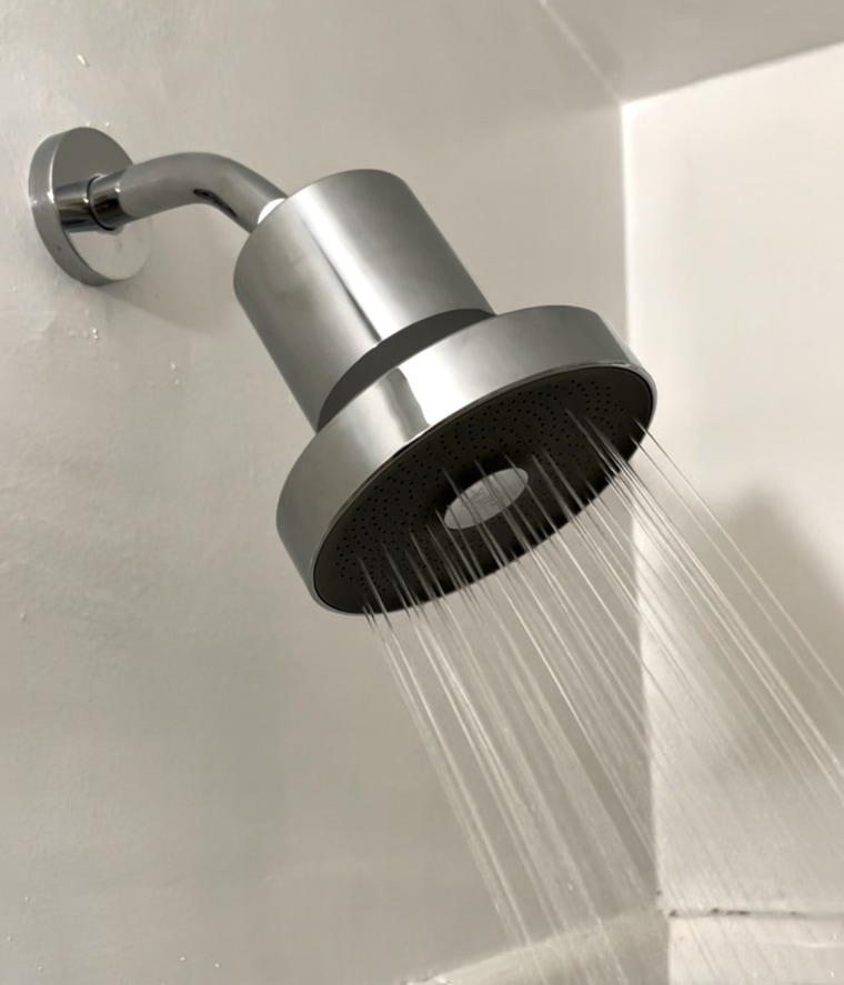 The chrome Jolie filtered showerhead installed in a bathroom