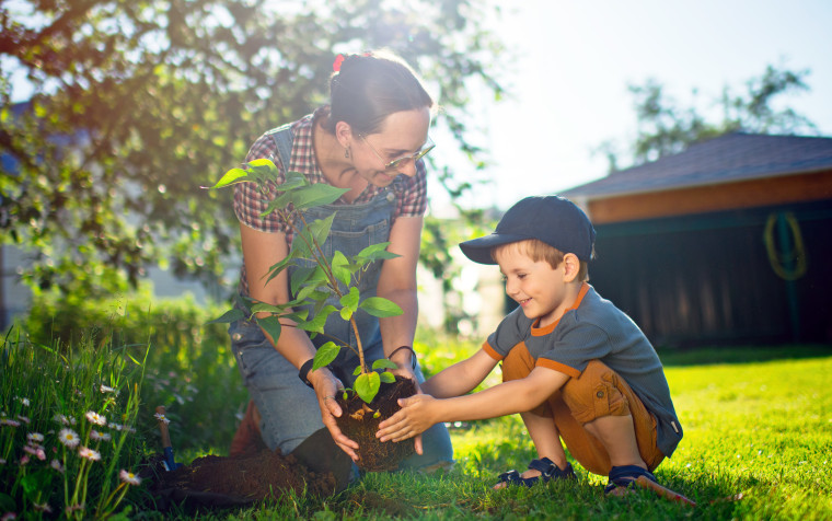 Pregnant mother and son planting a tree outside.