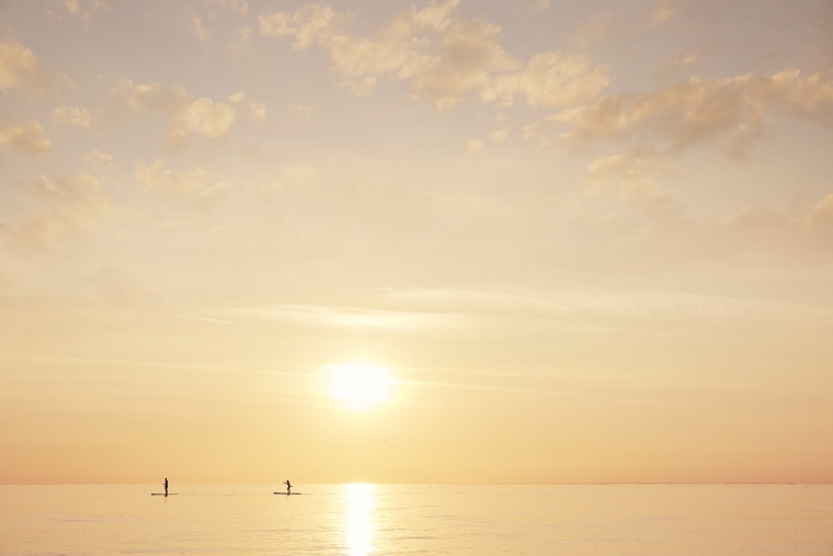 Paddle boarders on a calm sea at sunset