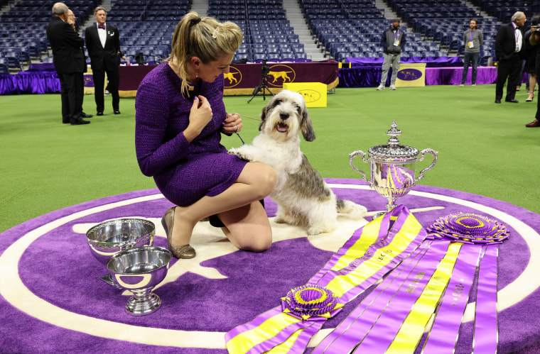 Top Canine Competitors at Westminster Kennel Club Dog Show