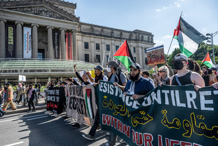 Pro-Palestinian Demonstrators Rally In Brooklyn.