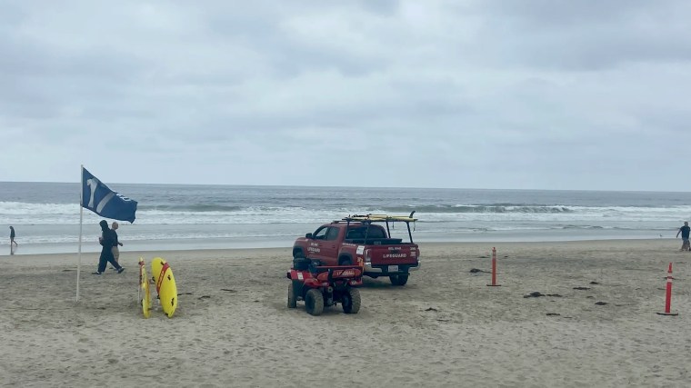 A shark attack in Del Mar on Sunday prompted beach closures in the area.