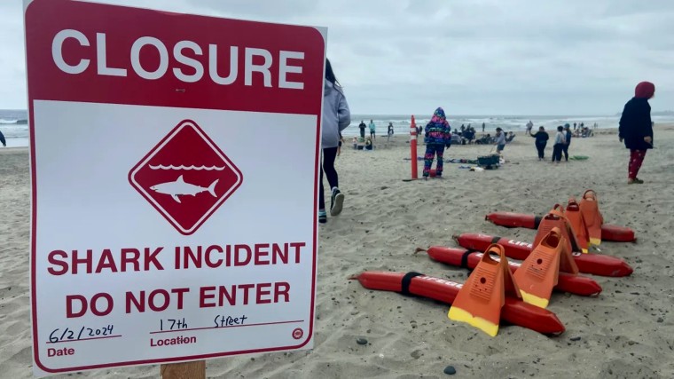 A 46-year-old man was sent to the hospital after being bitten by a shark in Del Mar around 9 a.m. on Sunday, prompting Del Mar lifeguards to close beaches for swimming and surfing in the area.