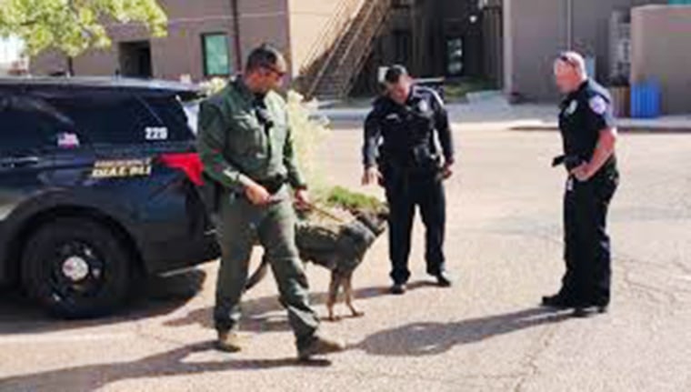 A Santa Fe police officer introduces Police K-9 Ayke to other officers on Ayke’s first day with SFPD.