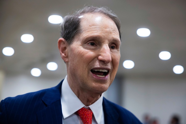 Ron Wyden speaks with reporters