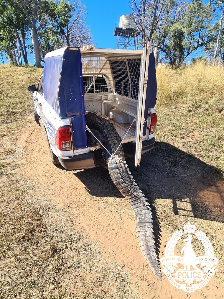 Australia Croc Seized in Northern Territory