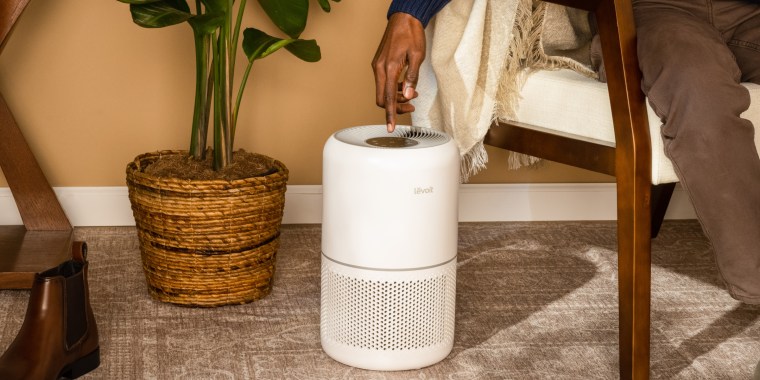 The 4 best affordable air purifiers of 2024