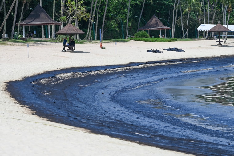 Beaches on Singapore's top resort island of Sentosa, which also house luxury waterfront homes, were shuttered on June 15 due to an oil spill at a nearby port, maritime authorities said. 