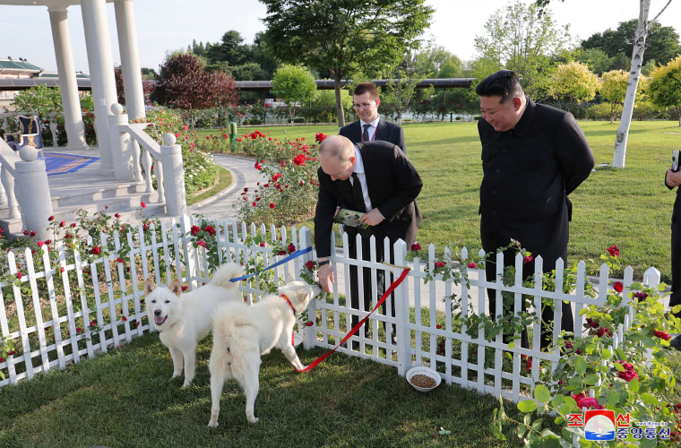 North Korea's Kim Jong Un gives pair of dogs to Putin